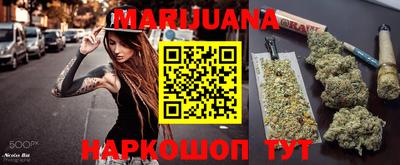 гидропоника Будённовск