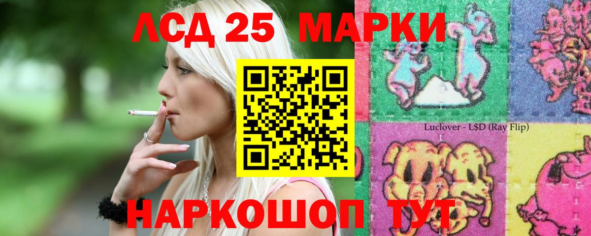 Светлоград  Лсд 25 экстази  Вход с VPN  LSD-25 экстази ecstasy  Лсд 25 экстази ecstasy 