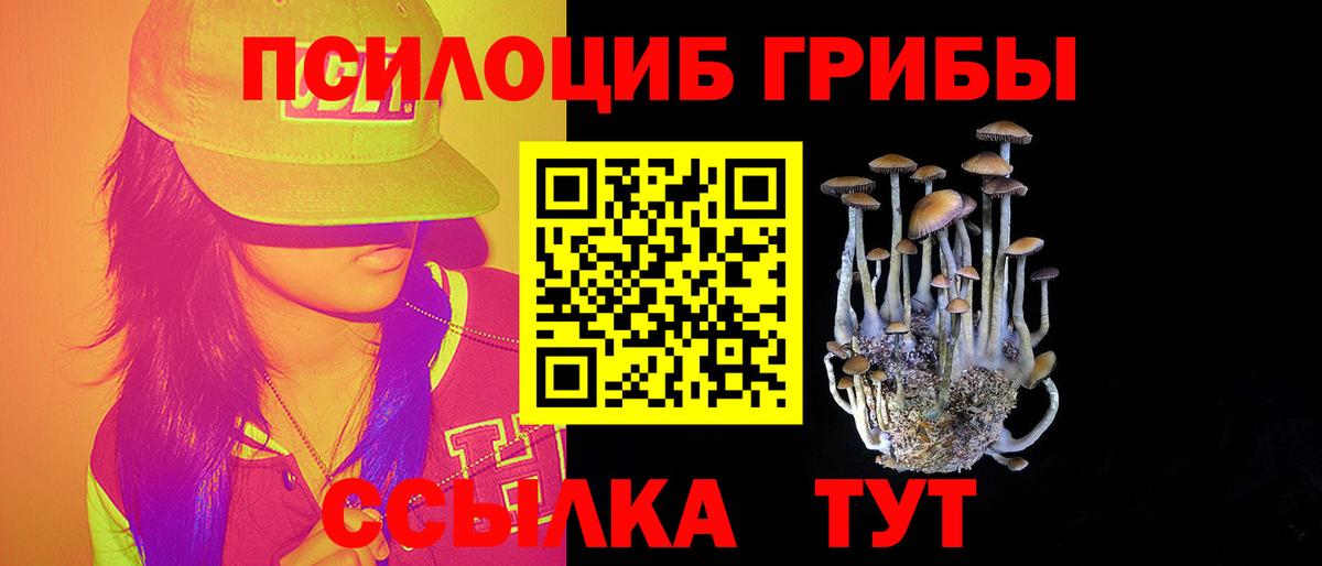 Альфа ПВП Светлоград